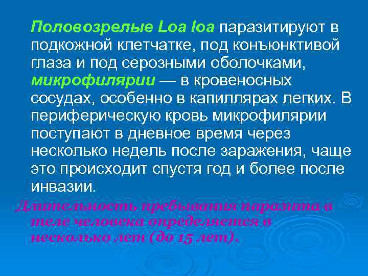  Половозрелые Loa loa паразитируют в подкожной клетчатке, под конъюнктивой глаза и под серозными