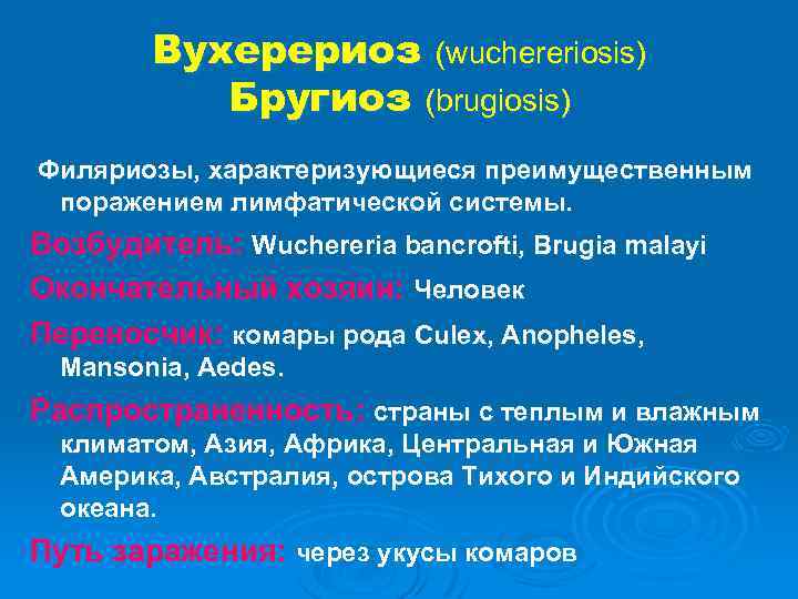 Вухерериоз (wuchereriosis) Бругиоз (brugiosis) Филяриозы, характеризующиеся преимущественным поражением лимфатической системы. Возбудитель: Wuchereria bancrofti, Brugia