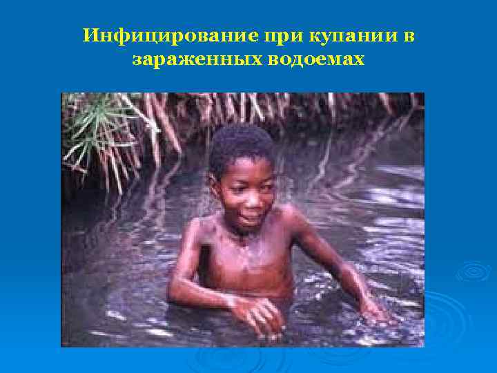 Инфицирование при купании в зараженных водоемах 