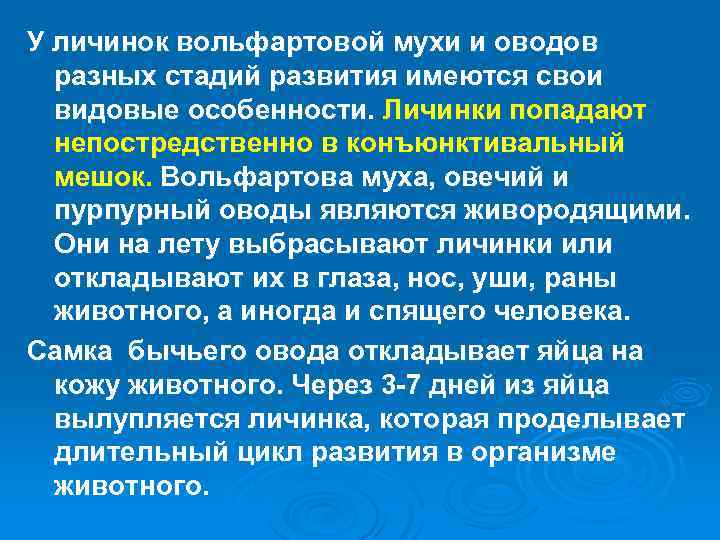 У личинок вольфартовой мухи и оводов разных стадий развития имеются свои видовые особенности. Личинки