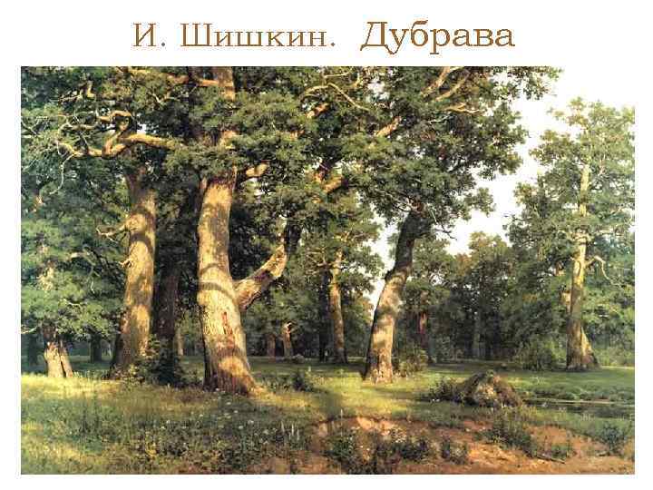 И. Шишкин. Дубрава 