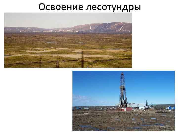 Освоение лесотундры 