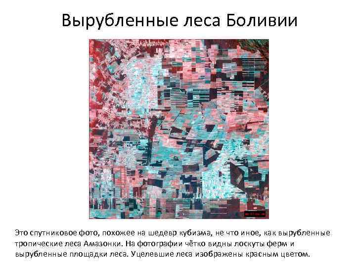 Вырубленные леса Боливии Это спутниковое фото, похожее на шедевр кубизма, не что иное, как