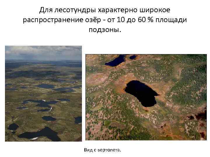 Для лесотундры характерно широкое распространение озёр - от 10 до 60 % площади подзоны.