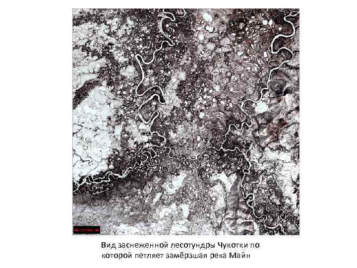 Вид заснеженной лесотундры Чукотки по которой петляет замёрзшая река Майн 