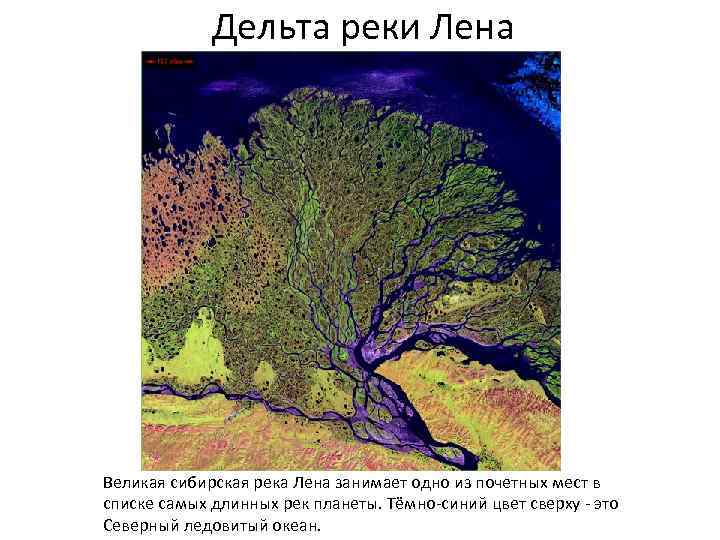 Дельта реки Лена Великая сибирская река Лена занимает одно из почетных мест в списке