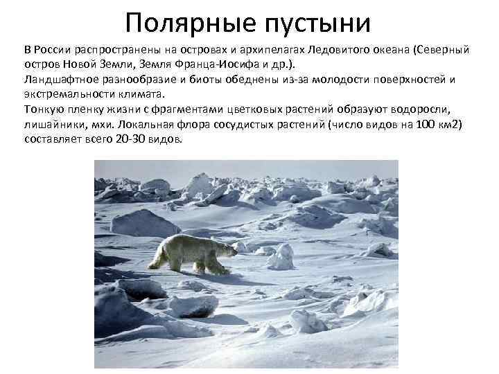Полярные пустыни В России распространены на островах и архипелагах Ледовитого океана (Северный остров Новой