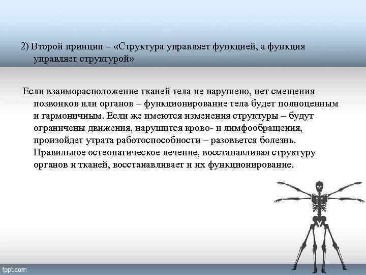 2) Второй принцип – «Структура управляет функцией, а функция управляет структурой» Если взаиморасположение тканей