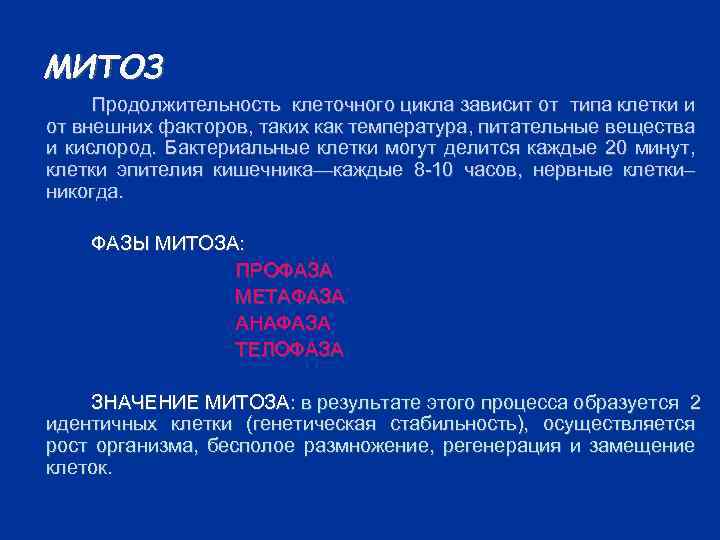 МИТОЗ Продолжительность клеточного цикла зависит от типа клетки и от внешних факторов, таких как