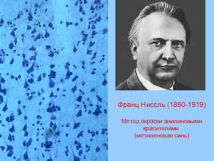 Франц Ниссль (1860 -1919) Метод окраски анилиновыми красителями (метиленовая синь) 