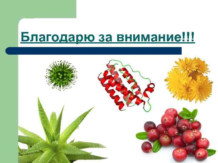 Благодарю за внимание!!! 