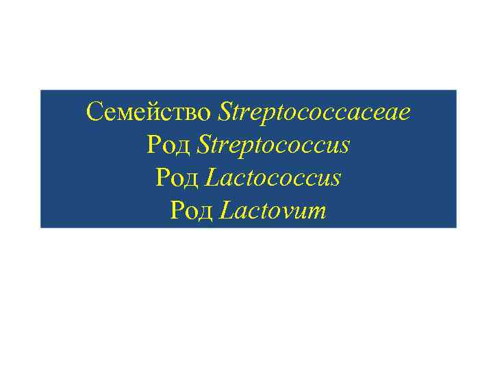 Семейство Streptococcaceae Род Streptococcus Род Lactovum 