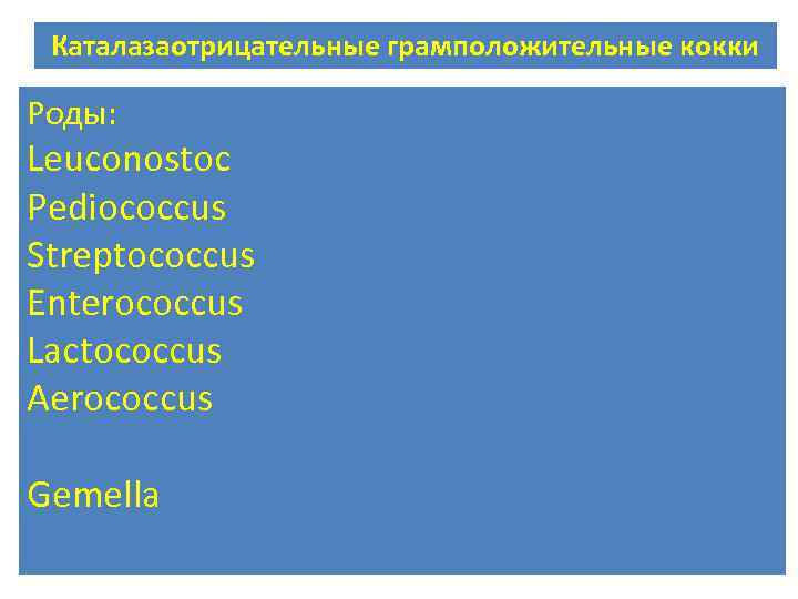 Каталазаотрицательные грамположительные кокки Роды: Leuconostoc Pediococcus Streptococcus Enterococcus Lactococcus Aerococcus Gemella 