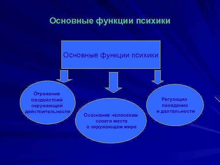 Основные функции психики Отражение воздействий окружающей действительности Осознание человеком своего места в окружающем мире