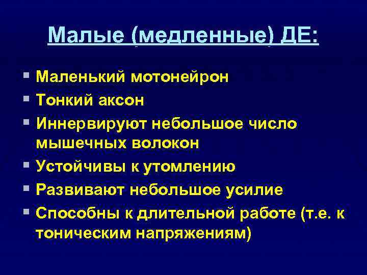Малые (медленные) ДЕ: § Маленький мотонейрон § Тонкий аксон § Иннервируют небольшое число мышечных