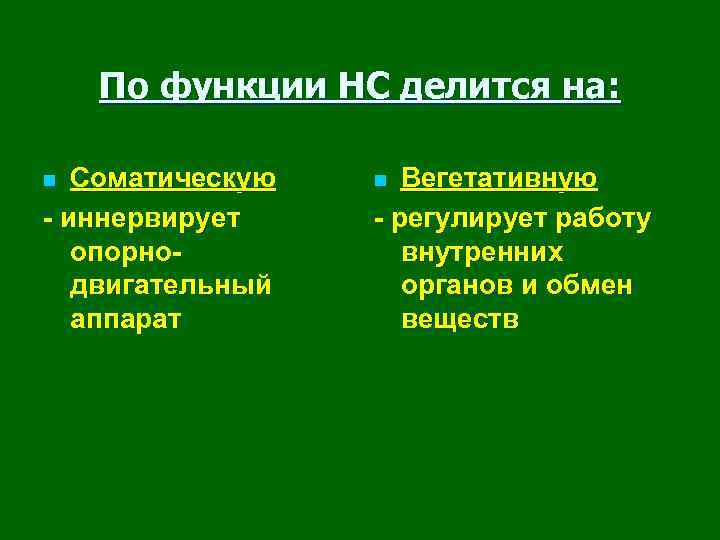 По функции НС делится на: Соматическую - иннервирует опорнодвигательный аппарат n Вегетативную - регулирует