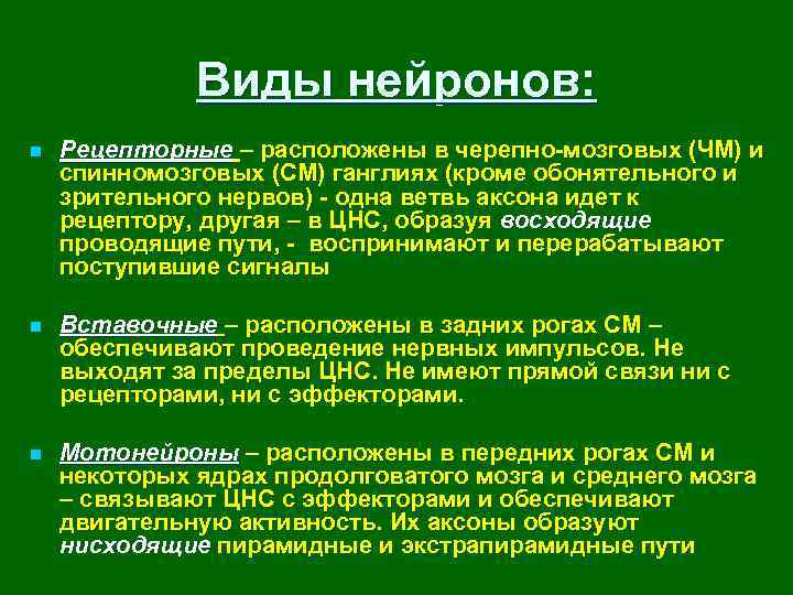 Виды нейронов: n Рецепторные – расположены в черепно-мозговых (ЧМ) и спинномозговых (СМ) ганглиях (кроме