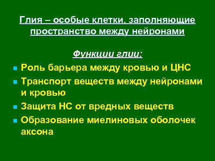 Глия – особые клетки, заполняющие пространство между нейронами n n Функции глии: Роль барьера