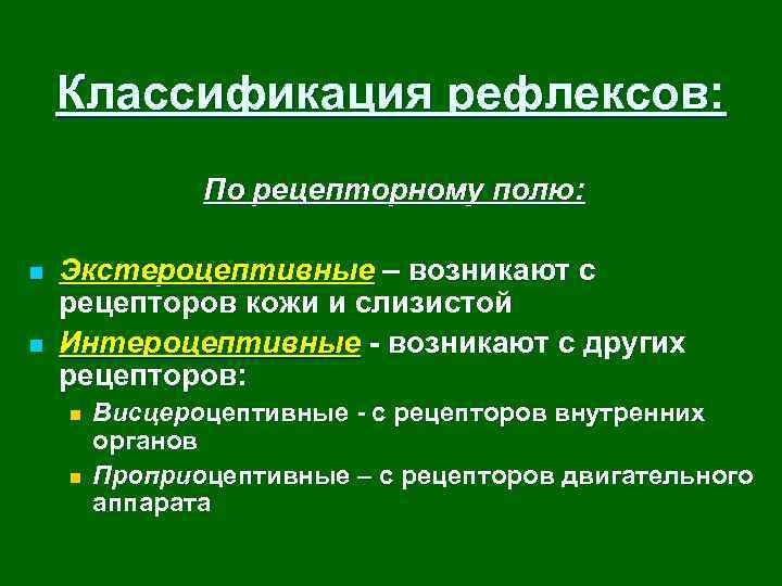 Рецептивное поле рефлекса