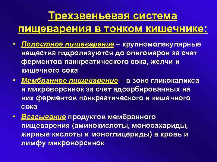 Трехзвеньевая система пищеварения в тонком кишечнике: • Полостное пищеварение – крупномолекулярные вещества гидролизуются до