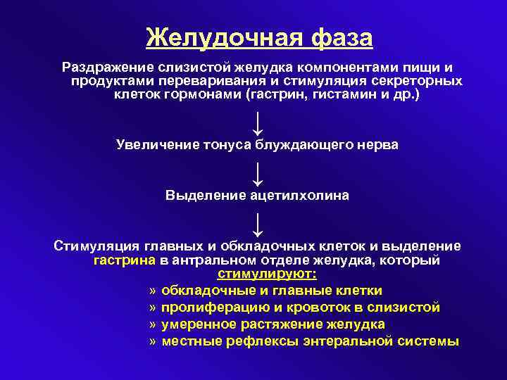 Желудочная фаза Раздражение слизистой желудка компонентами пищи и продуктами переваривания и стимуляция секреторных клеток
