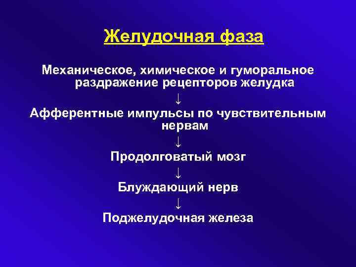 Желудочная фаза Механическое, химическое и гуморальное раздражение рецепторов желудка ↓ Афферентные импульсы по чувствительным