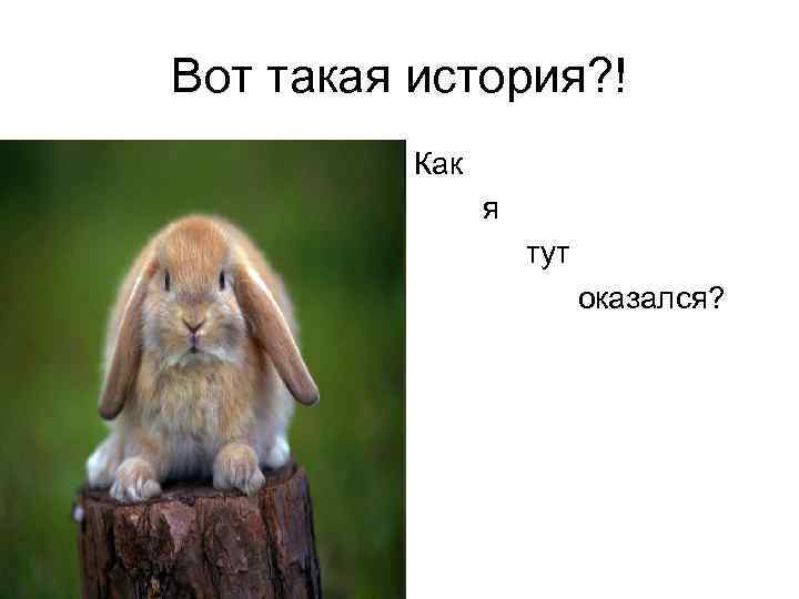 Вот такая история? ! Как я тут оказался? 