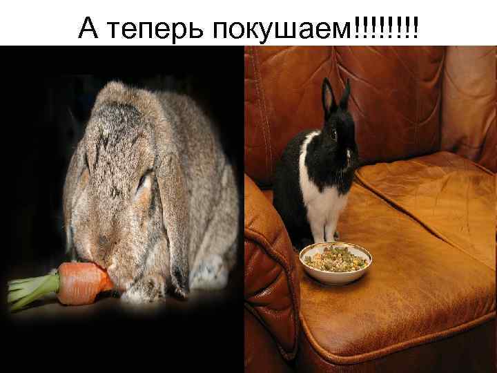 А теперь покушаем!!!! 