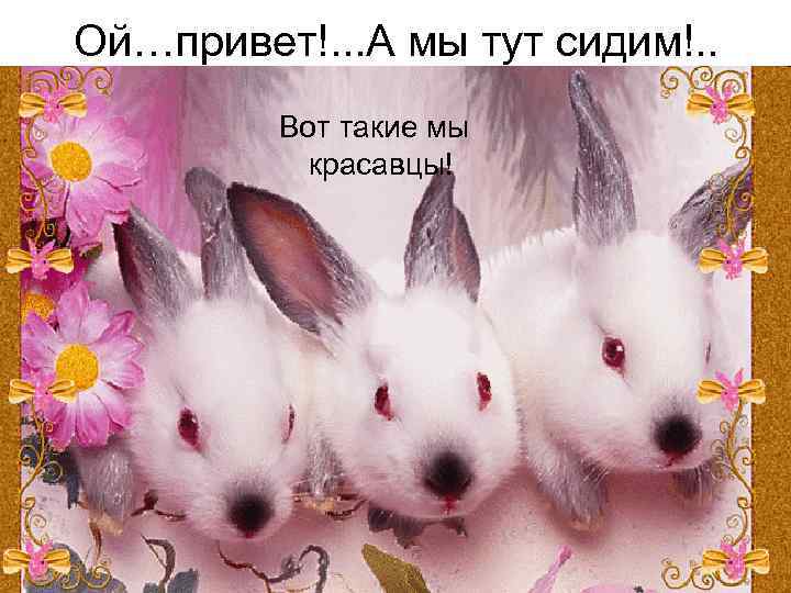 Ой…привет!. . . А мы тут сидим!. . Вот такие мы красавцы! 