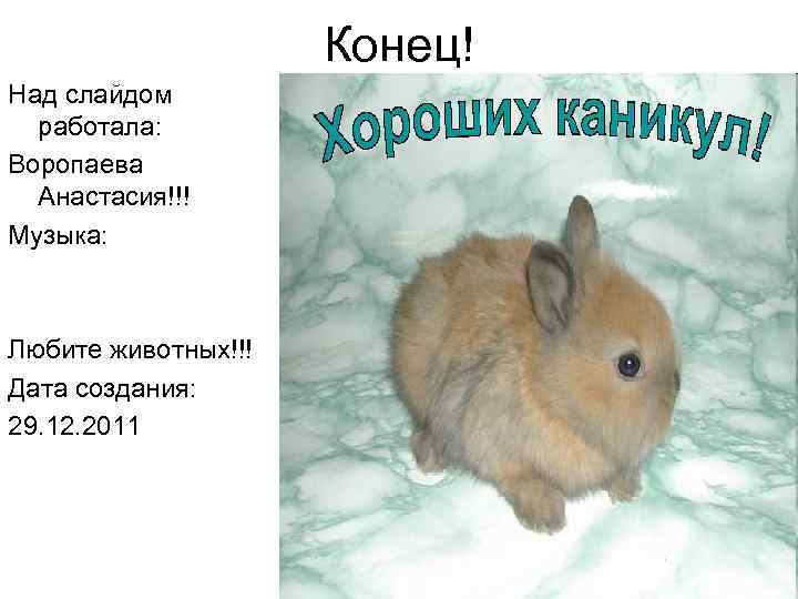 Конец! Над слайдом работала: Воропаева Анастасия!!! Музыка: Любите животных!!! Дата создания: 29. 12. 2011