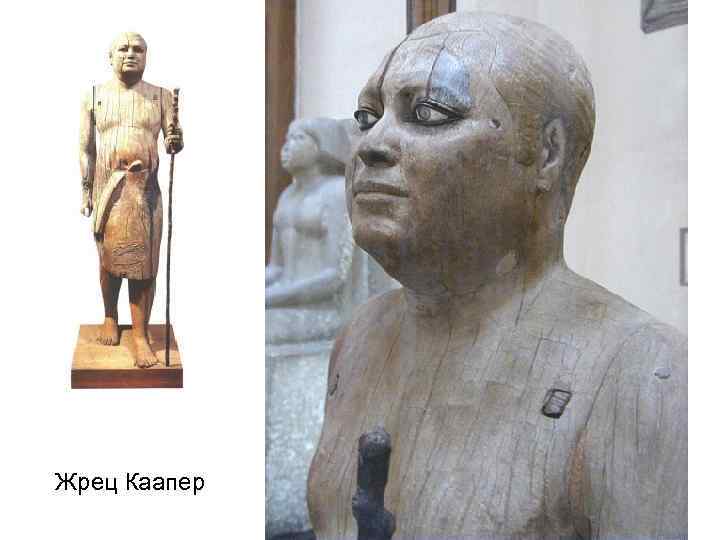 Жрец Каапер 