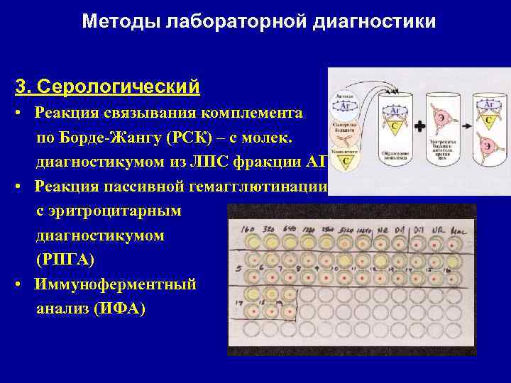 Микробиологическая диагностика эшерихиозов бактериологический серологический методы схемы