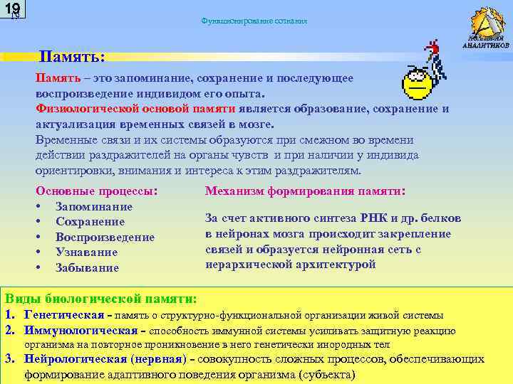 19 19 Функционирование сознания Память: Память – это запоминание, сохранение и последующее воспроизведение индивидом