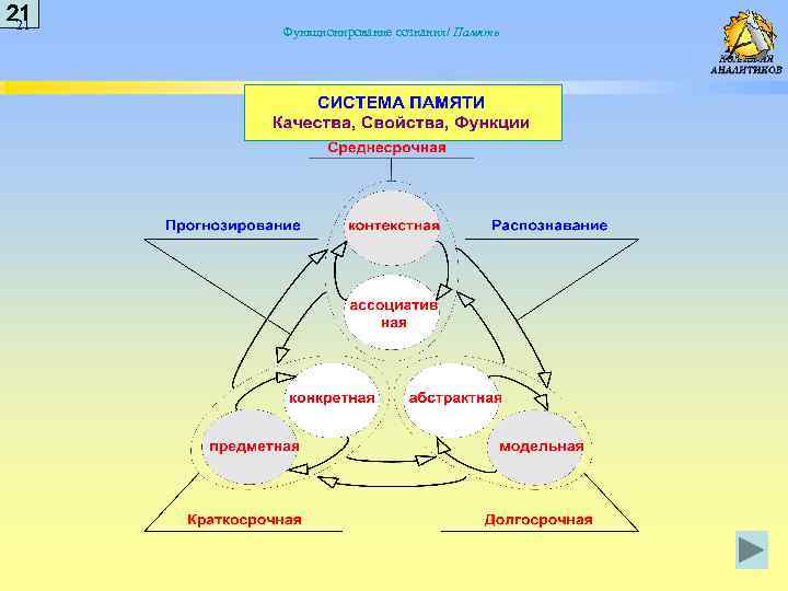 21 21 Функционирование сознания/ Память 
