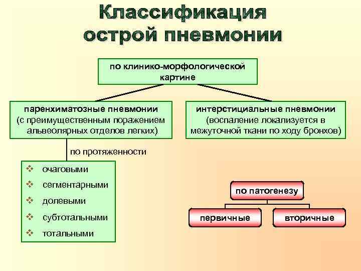 по клинико-морфологической картине паренхиматозные пневмонии (с преимущественным поражением альвеолярных отделов легких) интерстициальные пневмонии (воспаление