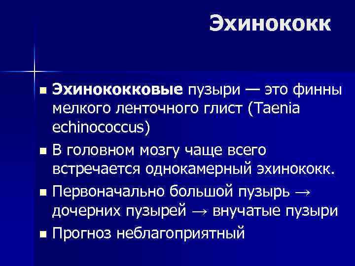 Эхинококковые пузыри — это финны мелкого ленточного глист (Taenia echinococcus) n В головном мозгу