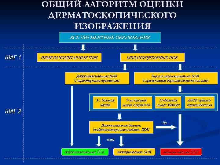 ОБЩИЙ АЛГОРИТМ ОЦЕНКИ ДЕРМАТОСКОПИЧЕСКОГО ИЗОБРАЖЕНИЯ ВСЕ ПИГМЕНТНЫЕ ОБРАЗОВАНИЯ ШАГ 1 НЕМЕЛАНОЦИТАРНЫЕ ПОК Доброкачественные ПОК