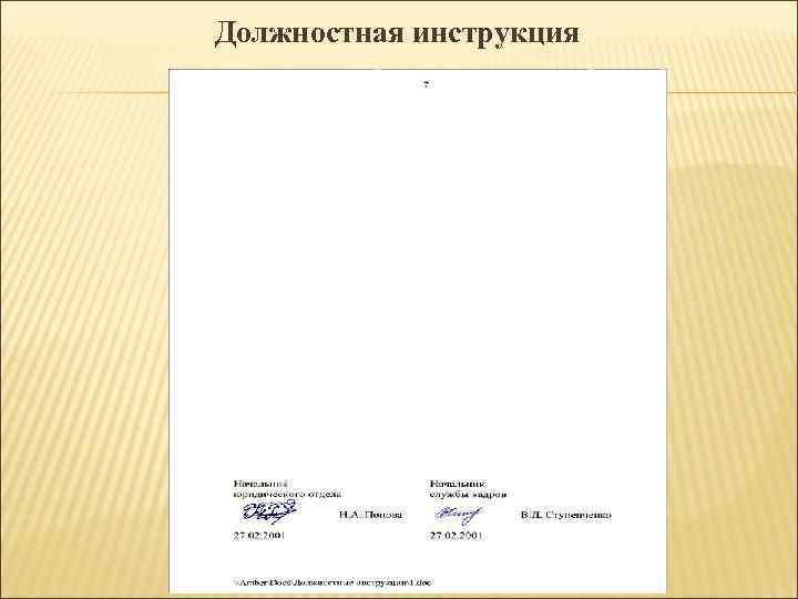 Должностная инструкция 