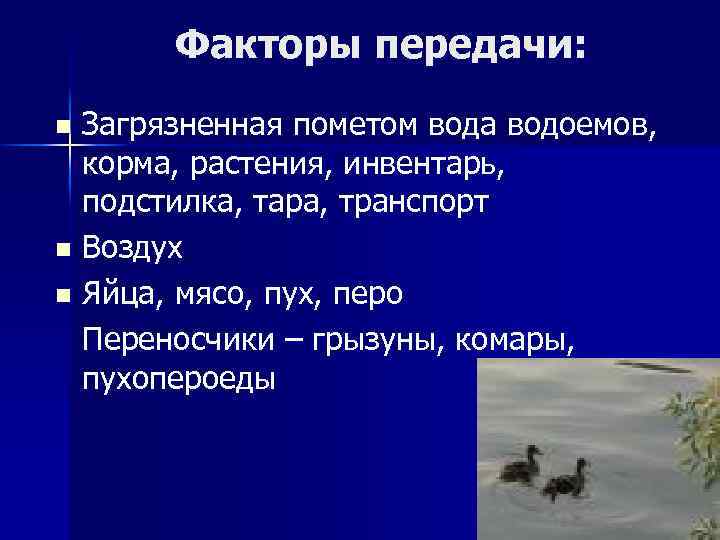 Факторы передачи: Загрязненная пометом вода водоемов, корма, растения, инвентарь, подстилка, тара, транспорт n Воздух