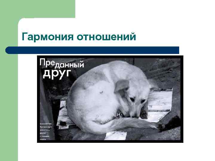 Гармония отношений 