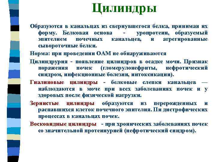 Цилиндры Образуются в канальцах из свернувшегося белка, принимая их форму. Белковая основа уропротеин, образуемый
