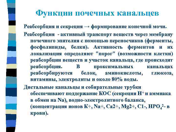 Функции почечных канальцев Реабсорбция и секреция → формирование конечной мочи. Реабсорбция - активный транспорт