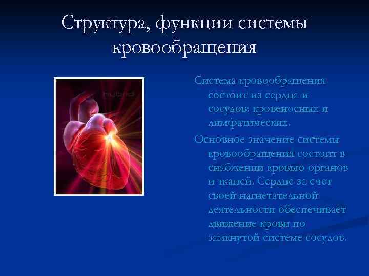 Структура, функции системы кровообращения Система кровообращения состоит из сердца и сосудов: кровеносных и лимфатических.