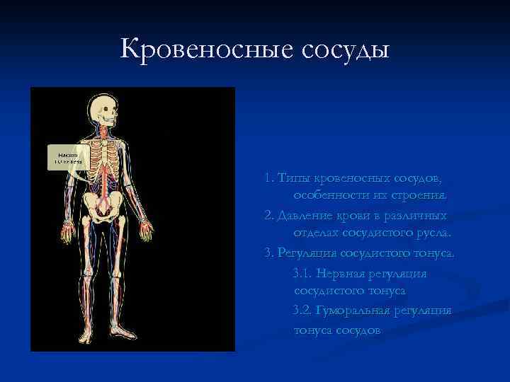 Кровеносные сосуды 1. Типы кровеносных сосудов, особенности их строения. 2. Давление крови в различных