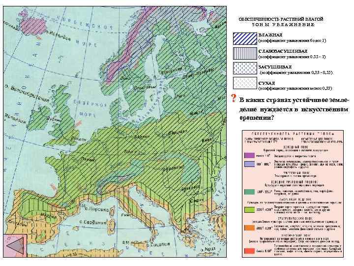 ОБЕСПЕЧЕННОСТЬ РАСТЕНИЙ ВЛАГОЙ З О Н Ы У В Л А Ж Н Е