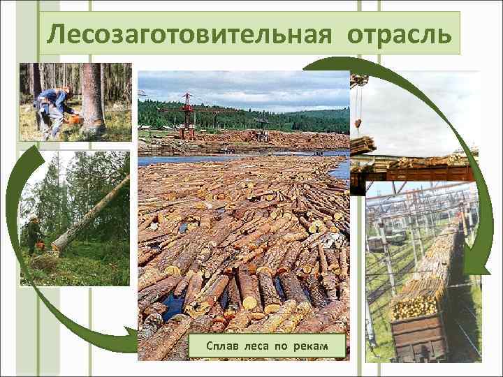 Лесозаготовительная отрасль Сплав леса по рекам 