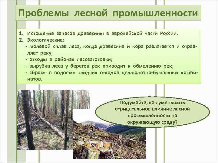 Проблемы лесной промышленности 1. Истощение запасов древесины в европейской части России. 2. Экологические: -