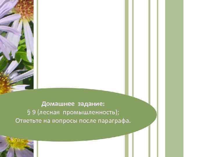 Домашнее задание: § 9 (лесная промышленность); Ответьте на вопросы после параграфа. 