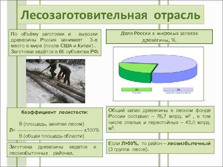 Лесозаготовительная отрасль По объёму заготовки и вывозки древесины Россия занимает 3 -е место в