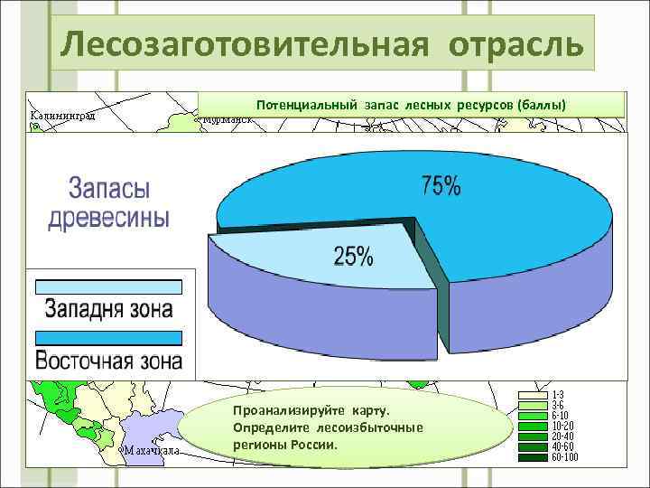 Лесозаготовительная отрасль Потенциальный запас лесных ресурсов (баллы) Проанализируйте карту. Определите лесоизбыточные регионы России. 